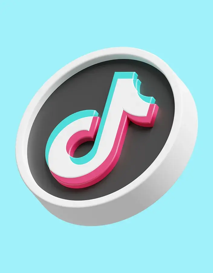 TikTok Ads Agency